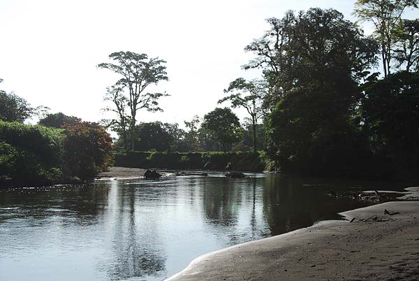 Tortuguero-005