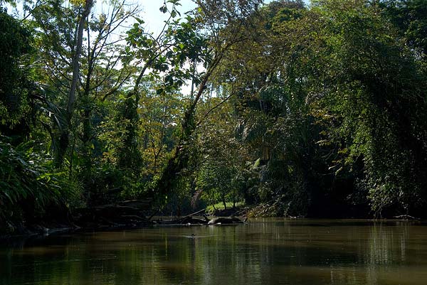 Tortuguero-025