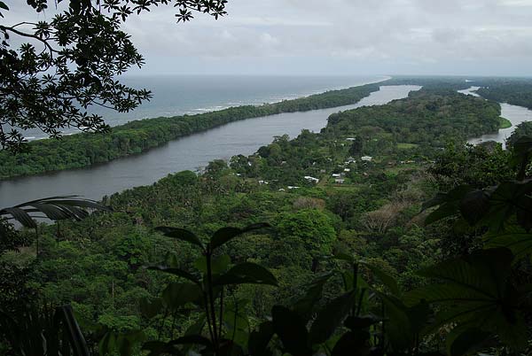 Tortuguero-095