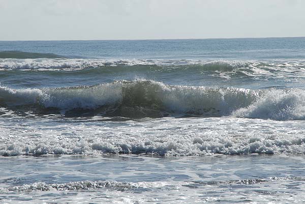 Tortuguero-147