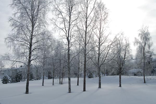 Finland-2008-111