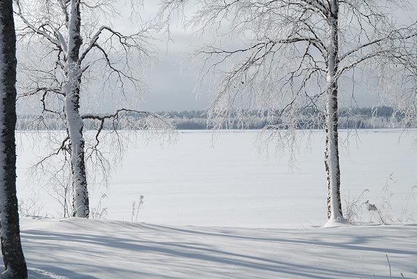 Finland-2008-120