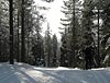 Finland-2009_010