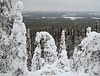 Finland-2009_078