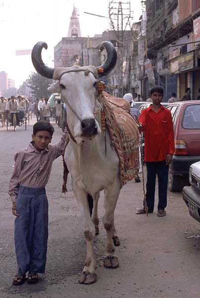 Delhi-2000-09