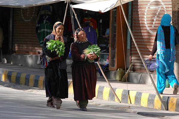 Leh_2005-289