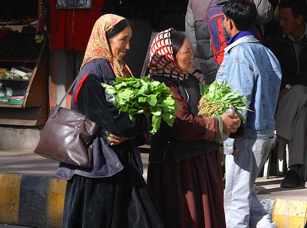 Leh_2005-290