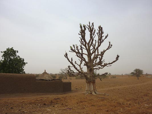 Mali_Stop-Sahel_ZX1-25