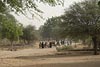 Mali_Stop-Sahel-138