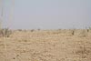 Mali_Stop-Sahel-139