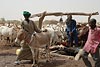 Mali_Stop-Sahel-217