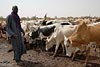 Mali_Stop-Sahel-220