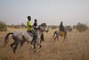 Mali_Stop-Sahel-321