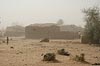 Mali_Stop-Sahel-415