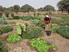 Mali_Stop-Sahel_ZX1-19