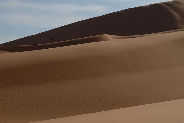 Erg-Chebbi-151