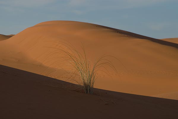 Erg-Chebbi-171