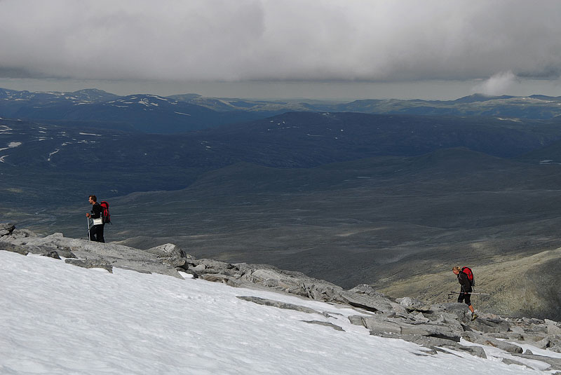 Dovrefjell-2008-092