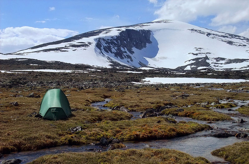 Dovrefjell-2009-034