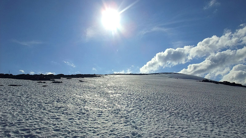 Dovrefjell-2009-047