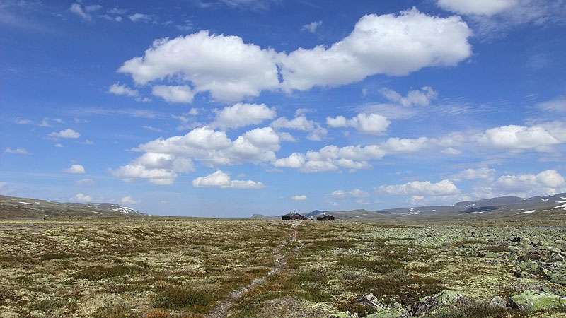 Dovrefjell-2009-088