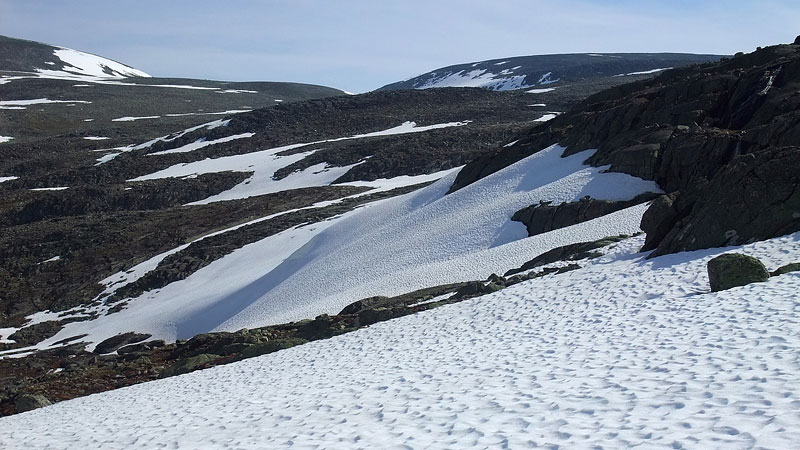 Dovrefjell-2009-128