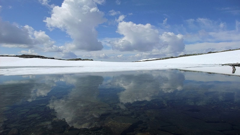 Dovrefjell-2009-247