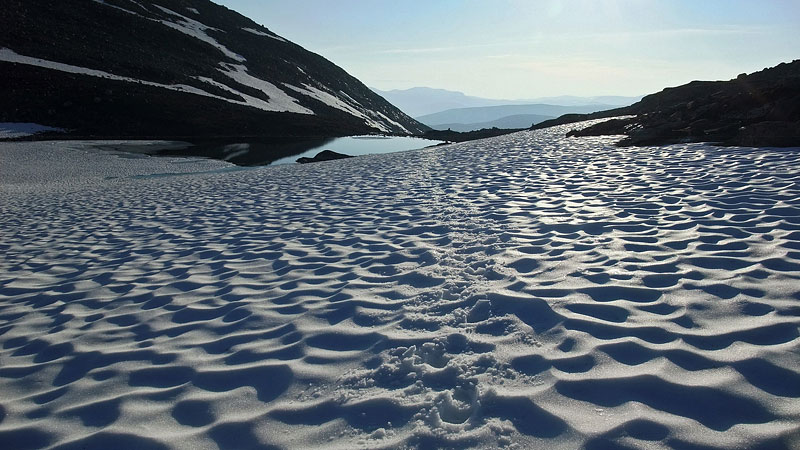 Dovrefjell-2009-290