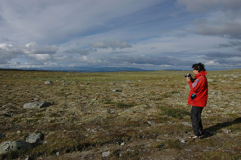 Hardangervida_2005-178