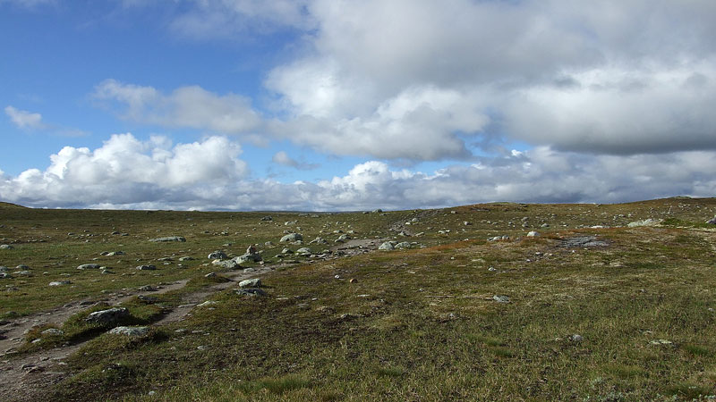 Hardangervida_2010-132