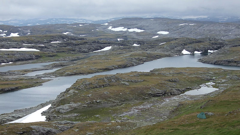 Hardangervida_2010-192