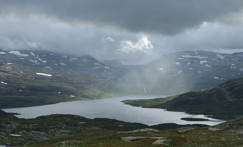 Hardangervida_2010-257