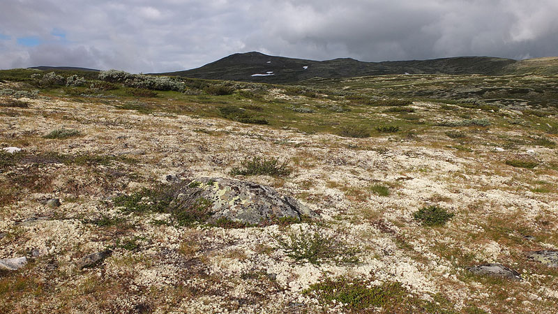 Rondane-2012-008