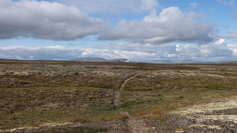 Rondane-2012-017