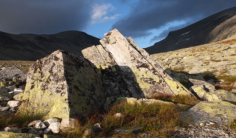 Rondane-2012-114