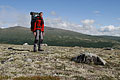 Dovrefjell-2008-277