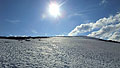 Dovrefjell-2009-047