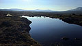 Dovrefjell-2009-376