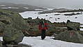 Hardangervida_2007-022