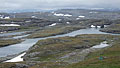 Hardangervida_2010-192