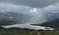 Hardangervida_2010-257