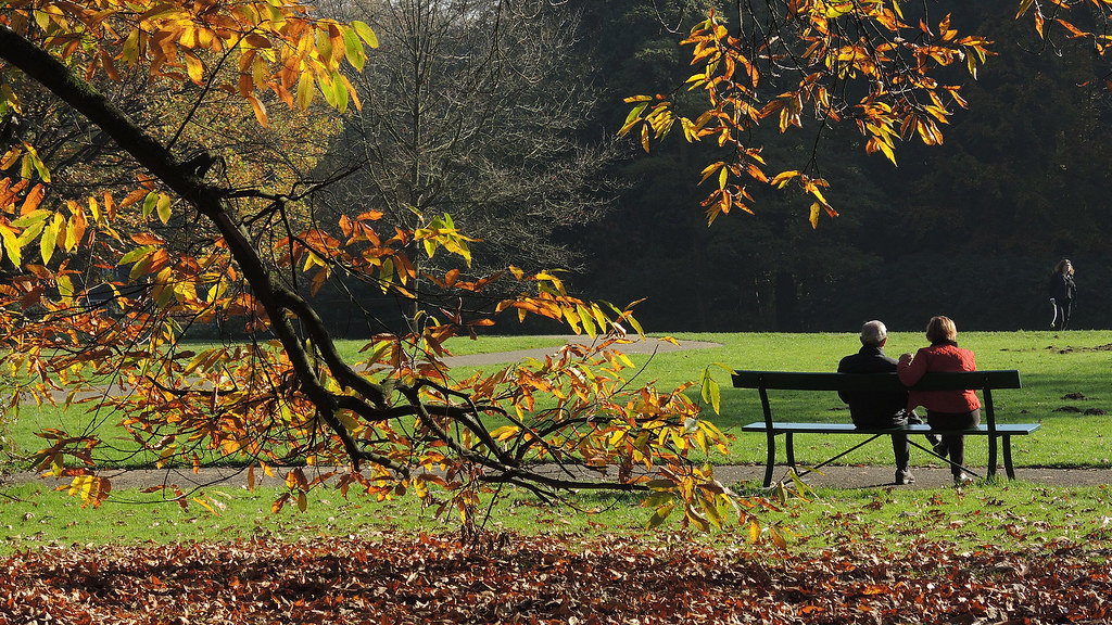 Sonsbeek - Sijpendaal