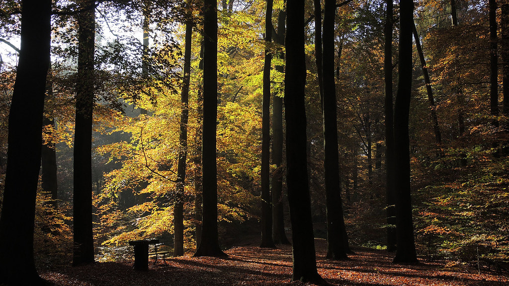 Sonsbeek - Sijpendaal