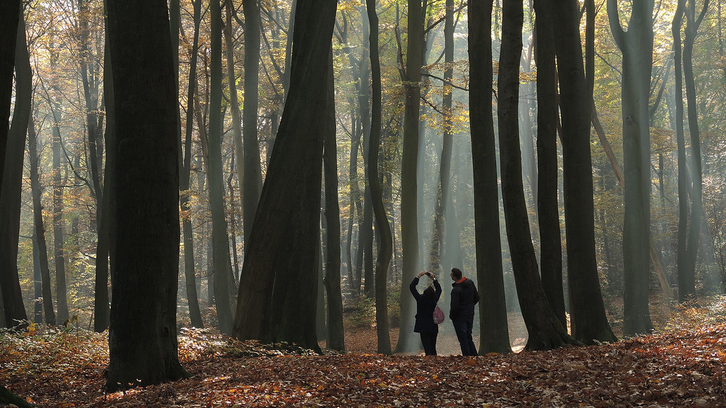 Sonsbeek - Sijpendaal