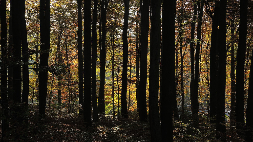 Sonsbeek - Sijpendaal
