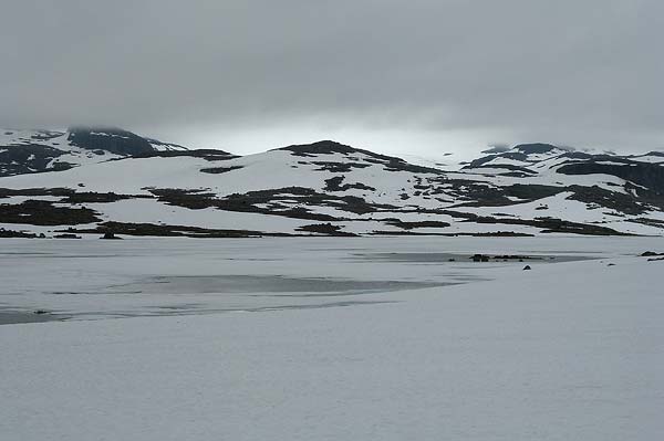 Hardangervida_2007-003