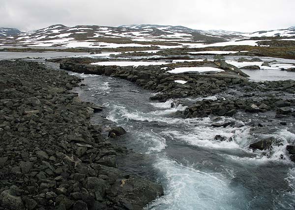 Hardangervida_2007-006