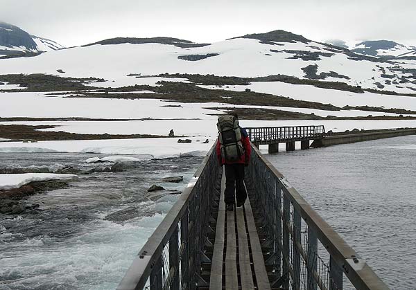 Hardangervida_2007-007
