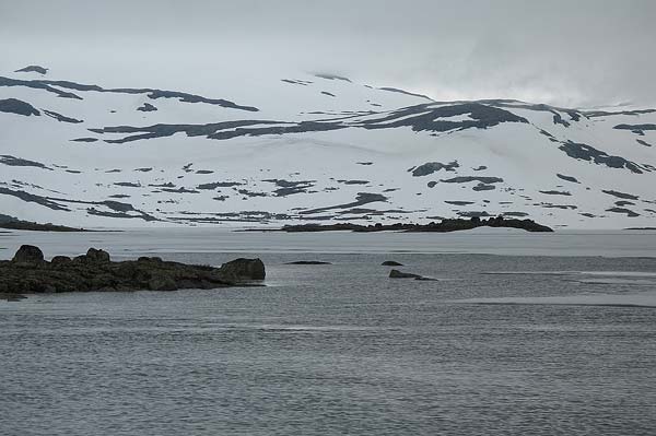 Hardangervida_2007-008