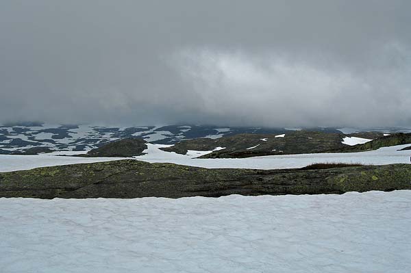 Hardangervida_2007-015